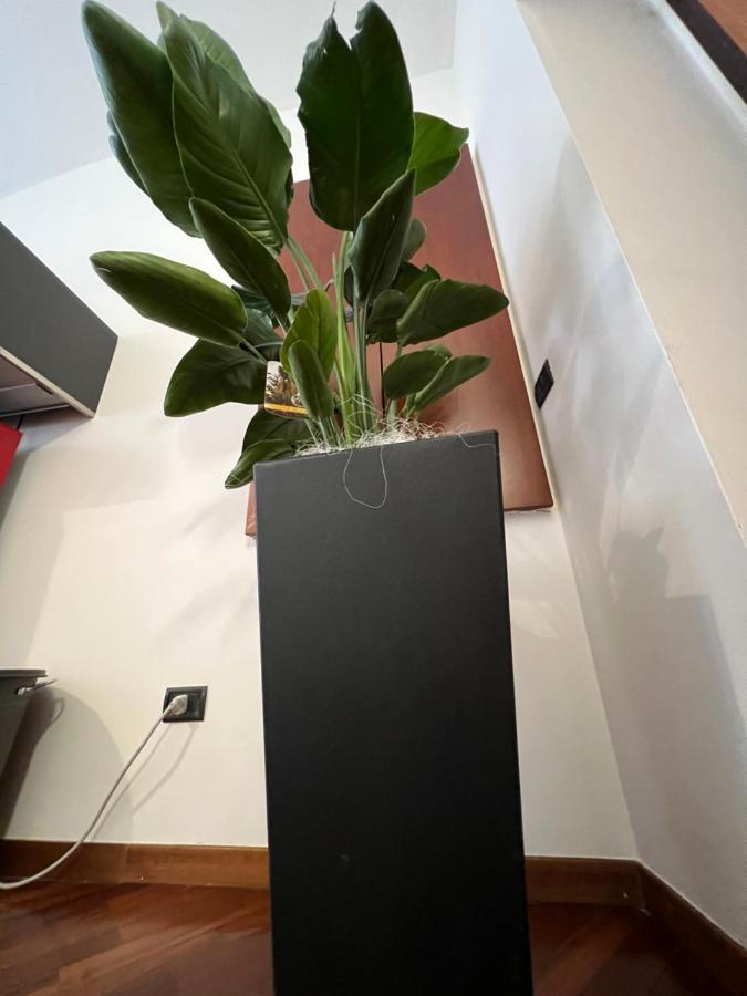 Effealatapartments - Appartamento Del Duca Senigallia Exteriér fotografie